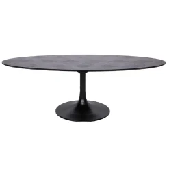 Table à dîner Blax ovale 230x100