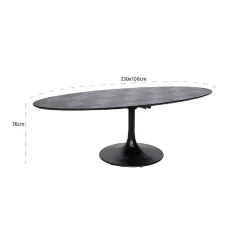 Table à dîner Blax ovale 230x100